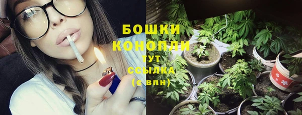 кокс Сосновый Бор